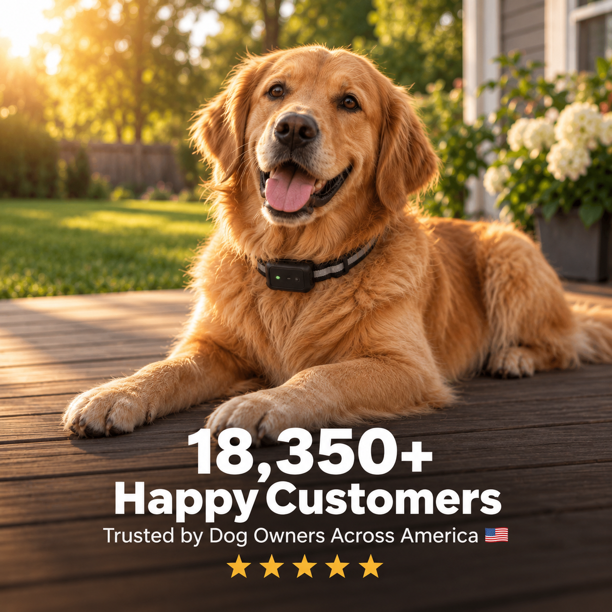 GPS Wireless Dog Fence & Training Collar
